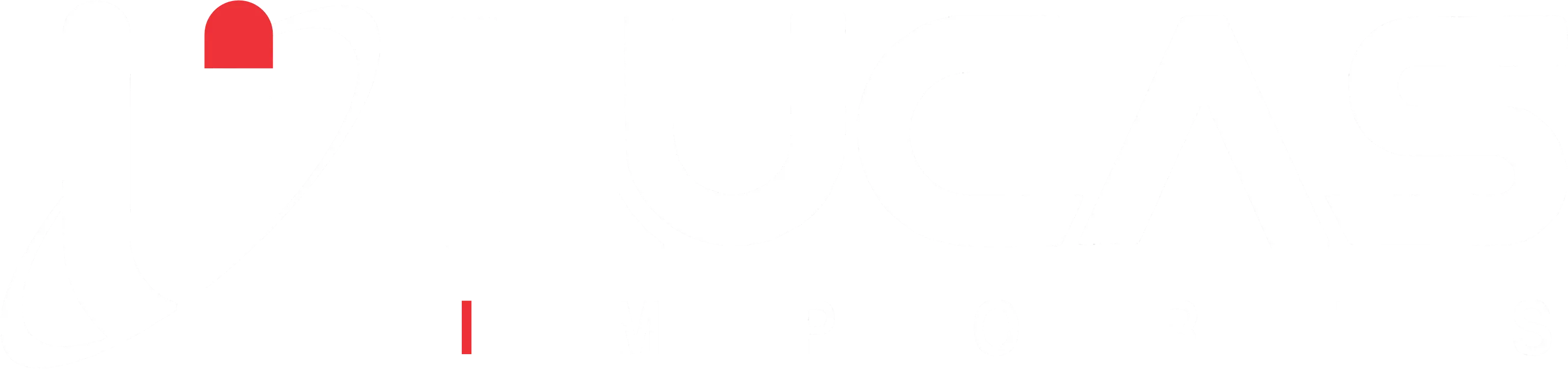 Lucas Imports